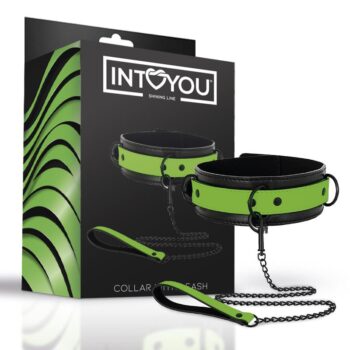 glow in the dark collar with leash